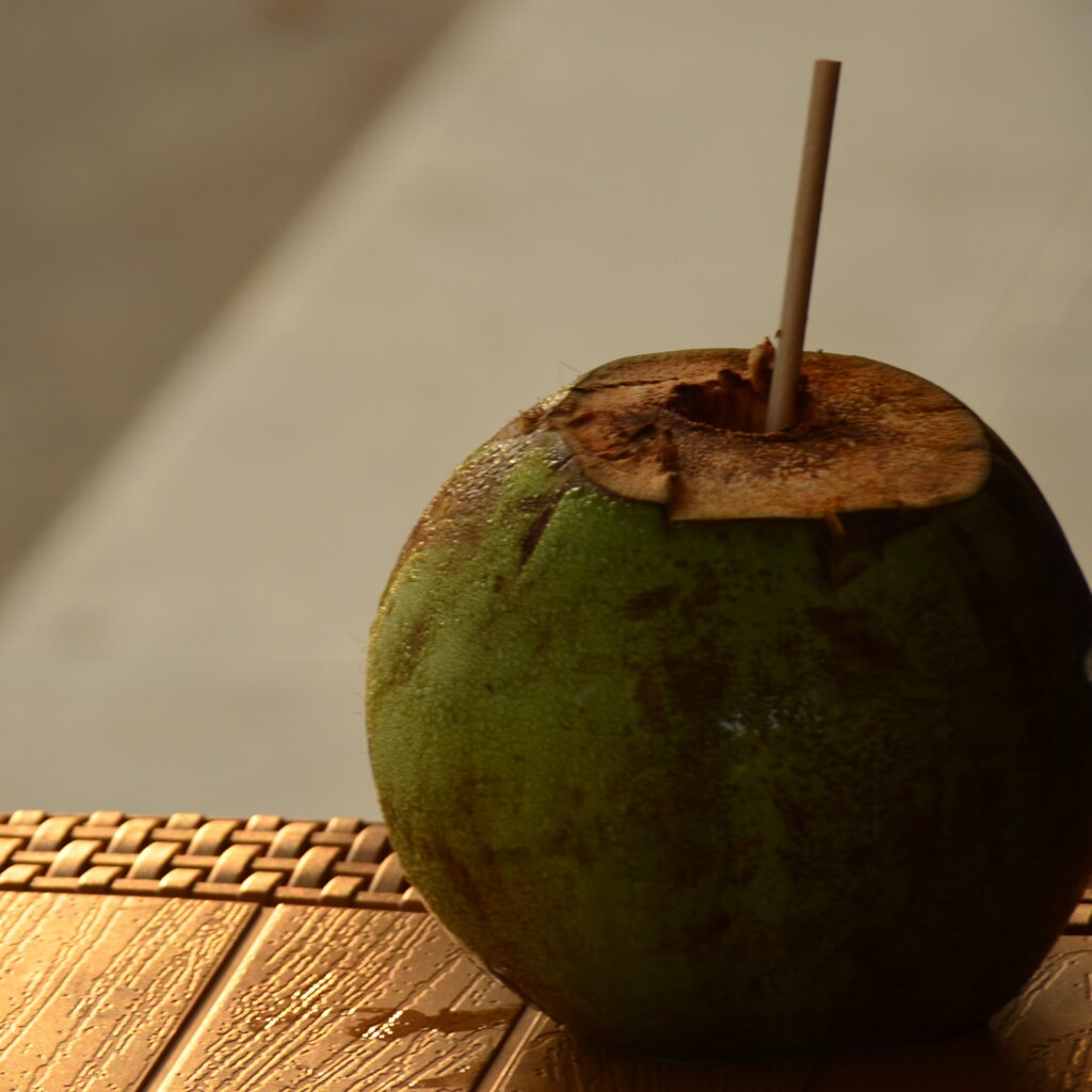 coconut