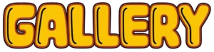 image gallery
